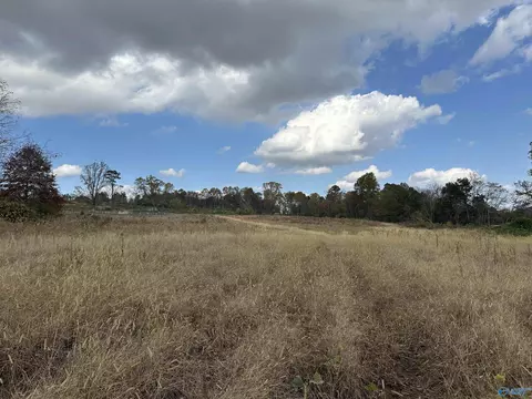 17 5 Acres Burwell Rd, Harvest, AL 35749