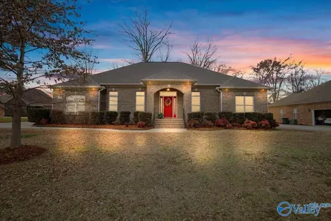 238 River Walk Trl, New Market, AL 35761