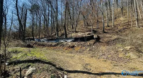 5928 Lister Ferry Rd, Rainbow City, AL 35906