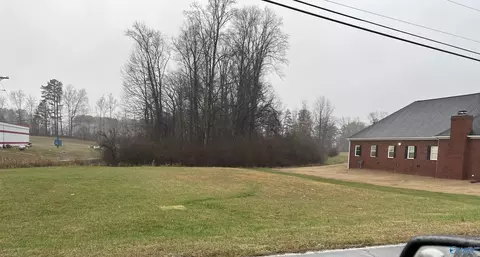 0 50 Ac Golfview Dr, Arab, AL 35016