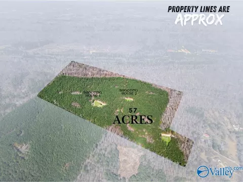 57 Acres Persall Dr, Gadsden, AL 35901