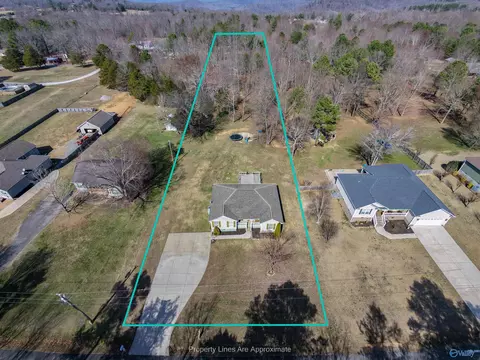 View/Area - 101 Jones Dr, Grant, AL 35747 photo 2 of 2