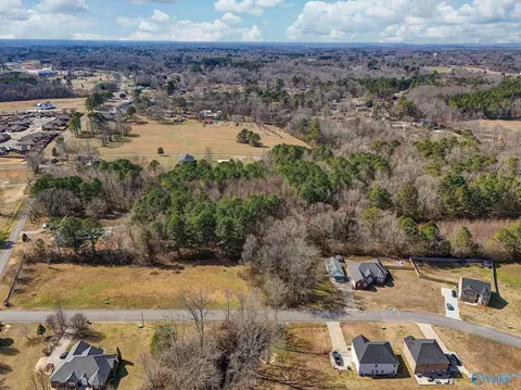 lot3 Summertree Way, Arab, AL 35016