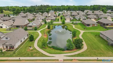 View/Area - 9087 Segers Trail Loop, Madison, AL 35756 photo 2 of 3