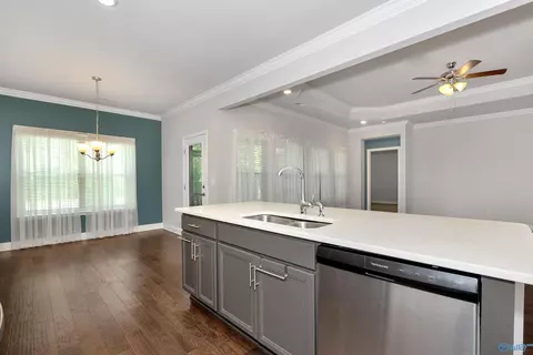 Other - 9087 Segers Trail Loop, Madison, AL 35756 photo 3 of 6