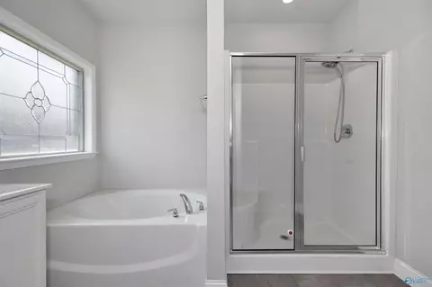 Bath - 9087 Segers Trail Loop, Madison, AL 35756 photo 1 of 1