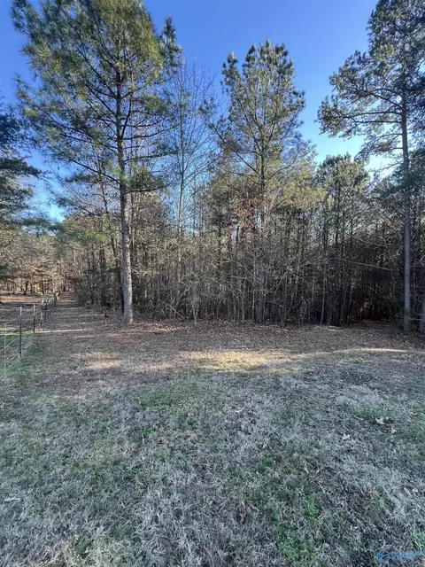 4441 S Sauty Rd, Langston, AL 35755