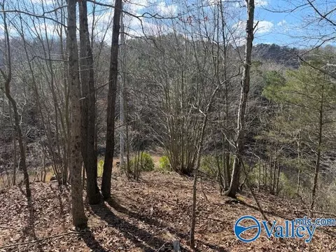 80 Snow Point Road, Guntersville, AL 35976