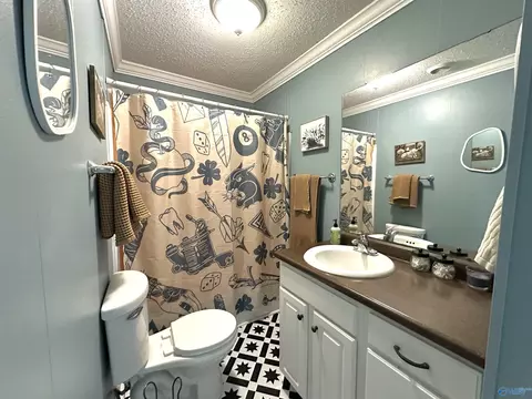 Bath - 29645 3rd Ave, Ardmore, AL 35739 photo 1 of 1