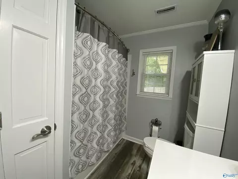 Bath - 135 Forest Hill Rd, Trinity, AL 35673 photo 2 of 3