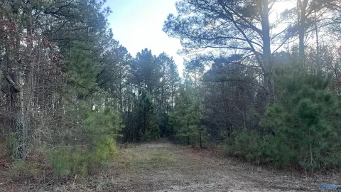 Tract 1 County Road 450, Centre, AL 35960