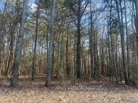 Tract 2 County Road 450, Centre, AL 35960