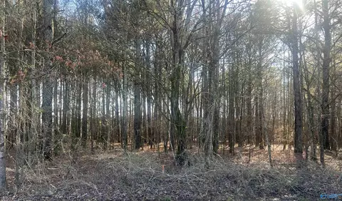 Tract 3 County Road 450, Centre, AL 35960
