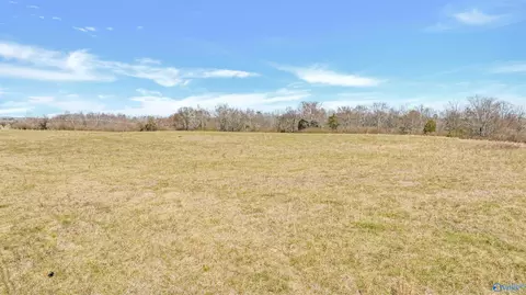 17 27 Acres County Road 48, Section, AL 35771 photo 2