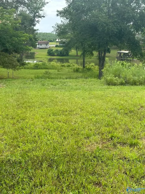 836 County Road 359, Leesburg, AL 35983