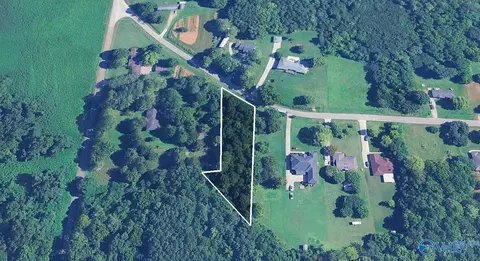 590 Carters Gin Rd, Toney, AL 35773