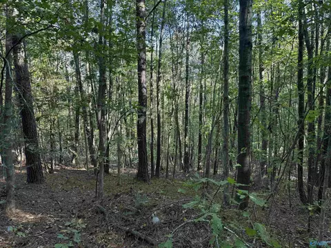 1028 Goddard Rd, Bear Creek, AL 35543