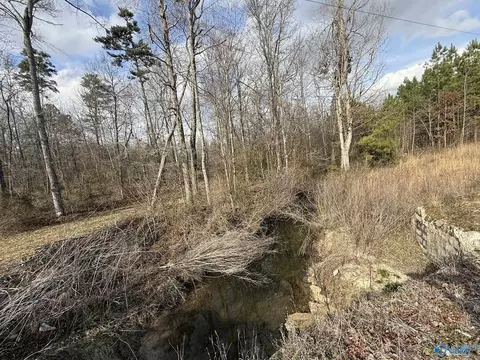 4 Acres County Road 346, Pisgah, AL 35765