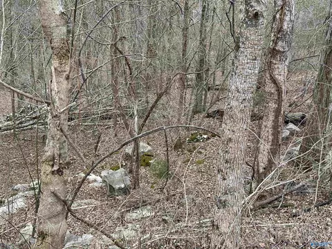 4621 Legacy Preserve Way, Brownsboro, AL 35741