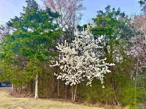 902 Whispering Pines Trl, Decatur, AL 35603