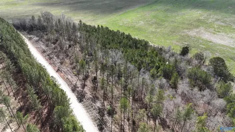 15 County Road 175, Piedmont, AL 36272