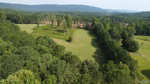 2515 County Road 58, Cedar Bluff, AL 35959 photo 11