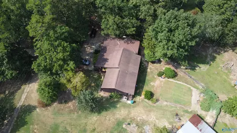2515 County Road 58, Cedar Bluff, AL 35959 photo 16