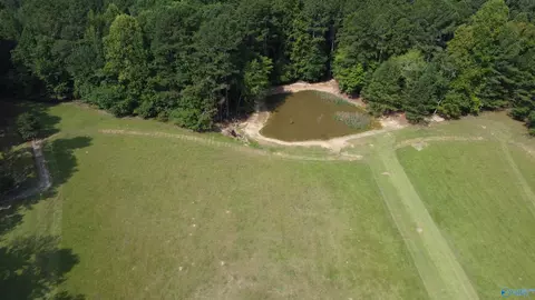 2515 County Road 58, Cedar Bluff, AL 35959 photo 18