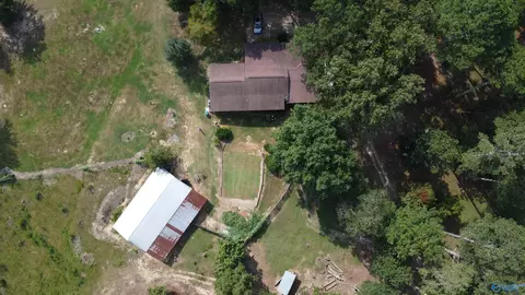 2515 County Road 58, Cedar Bluff, AL 35959 photo 24