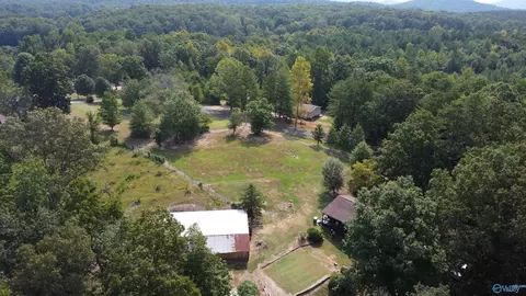 2515 County Road 58, Cedar Bluff, AL 35959 photo 20
