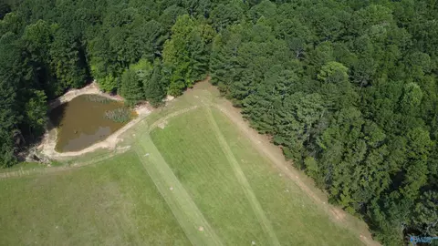 2515 County Road 58, Cedar Bluff, AL 35959 photo 22
