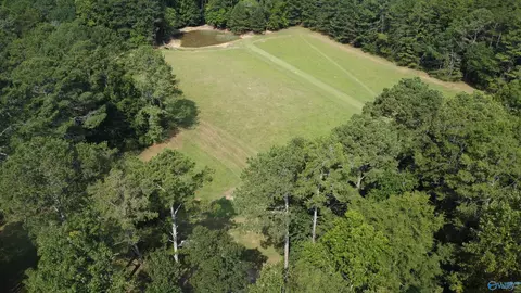 2515 County Road 58, Cedar Bluff, AL 35959 photo 17