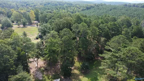 2515 County Road 58, Cedar Bluff, AL 35959 photo 19