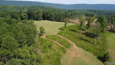 2515 County Road 58, Cedar Bluff, AL 35959 photo 12