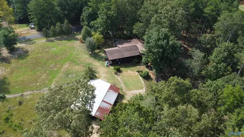 2515 County Road 58, Cedar Bluff, AL 35959 photo 15