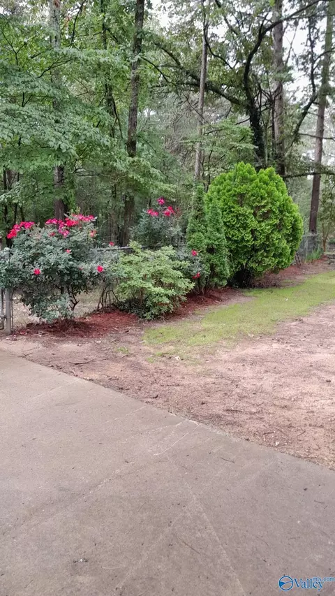 2515 County Road 58, Cedar Bluff, AL 35959 photo 6