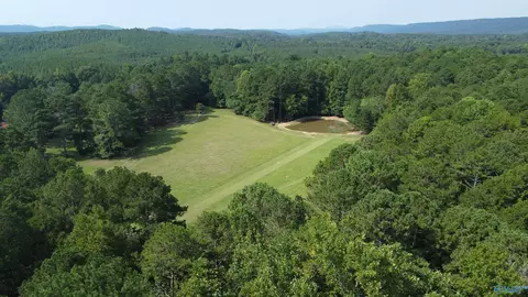 2515 County Road 58, Cedar Bluff, AL 35959 photo 13