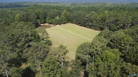 2515 County Road 58, Cedar Bluff, AL 35959 photo 21