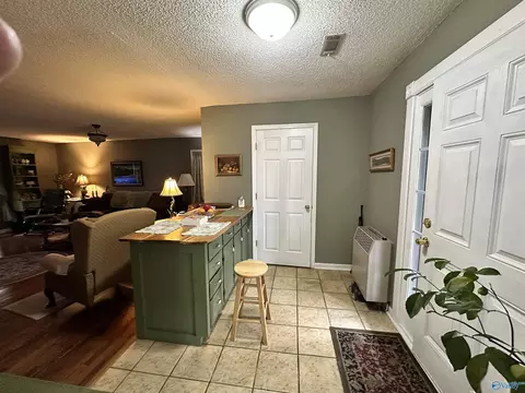 2515 County Road 58, Cedar Bluff, AL 35959 photo 34