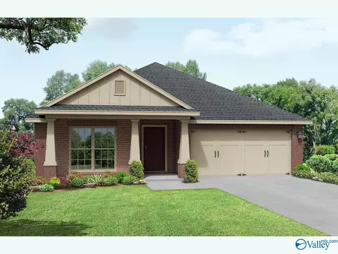118 Cotita Dr, Toney, AL 35773