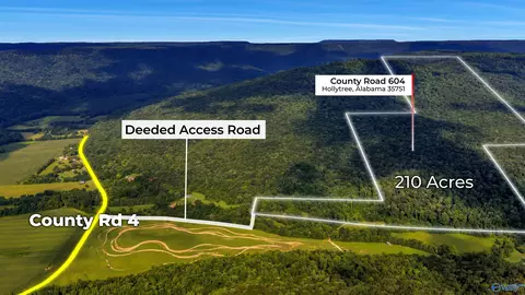 210 Acres County Road 604, Hollytree, AL 35751