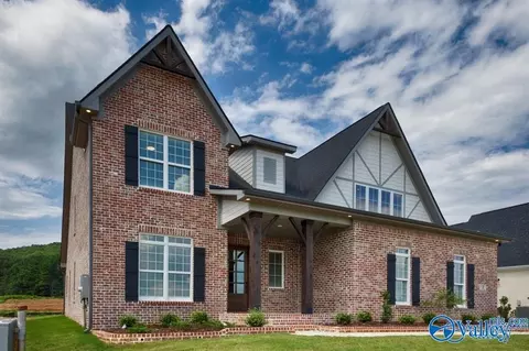 8113 Goose Ridge Dr, Owens Cross Roads, AL 35763