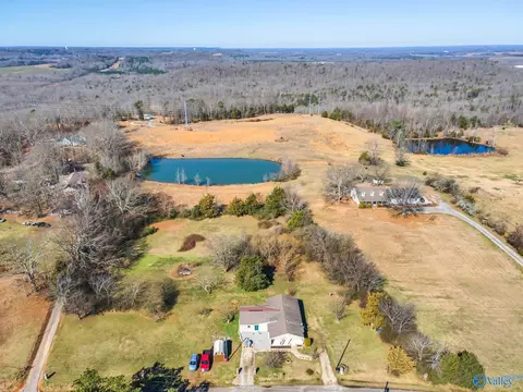 View/Area - 2671 County Road 358, Trinity, AL 35673 photo 2 of 5