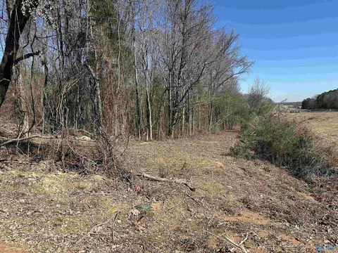 13 Acres Gordon Terry Pkwy, Decatur, AL 35603
