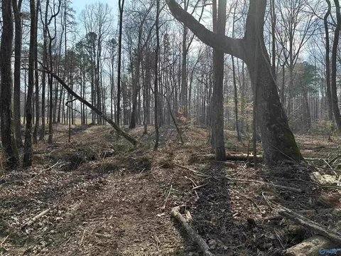 2 5 Acres Ghost Hill Rd, Trinity, AL 35603 photo 9