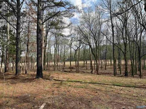 2 5 Acres Ghost Hill Rd, Trinity, AL 35603 photo 13