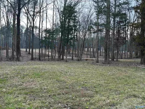 2 5 Acres Ghost Hill Rd, Trinity, AL 35603 photo 8
