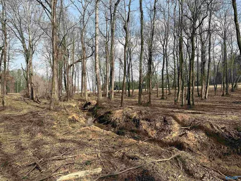 2 5 Acres Ghost Hill Rd, Trinity, AL 35603 photo 10