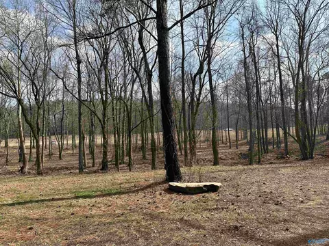2 5 Acres Ghost Hill Rd, Trinity, AL 35603 photo 12