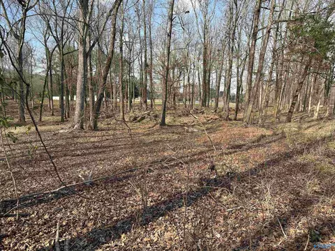 2 5 Acres Ghost Hill Rd, Trinity, AL 35603 photo 5